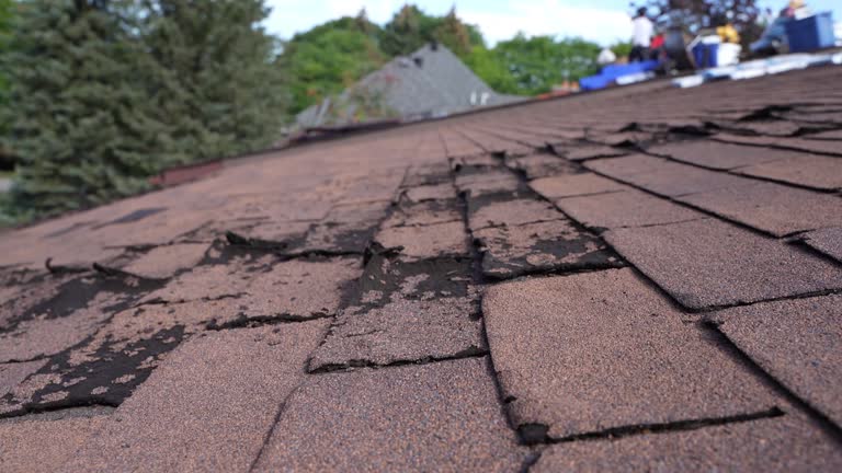 Best Metal Roofing Installation  in Fern Prairie, WA