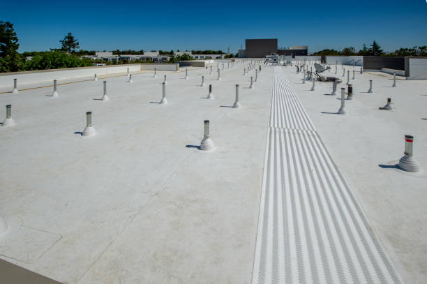 Professional Roofing Service in Fern Prairie, WA